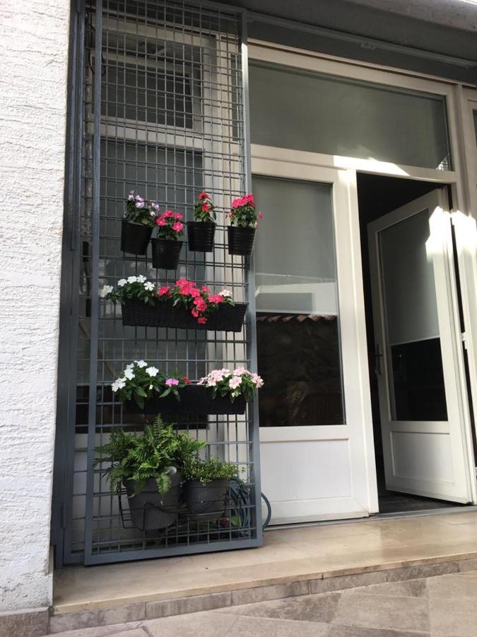 Visiani Apartment Sibenik Exterior photo